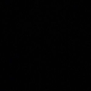 Meet your Posher, Jasmin